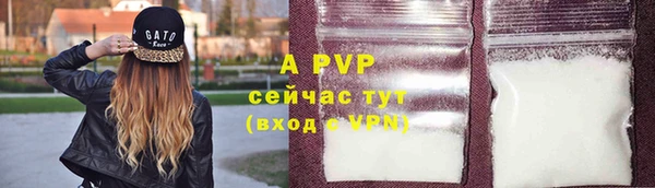 ГАЛЛЮЦИНОГЕННЫЕ ГРИБЫ Вязники