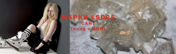 ГАЛЛЮЦИНОГЕННЫЕ ГРИБЫ Вязники