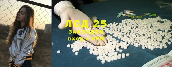 ГАЛЛЮЦИНОГЕННЫЕ ГРИБЫ Вязники