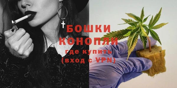 ГАЛЛЮЦИНОГЕННЫЕ ГРИБЫ Вязники